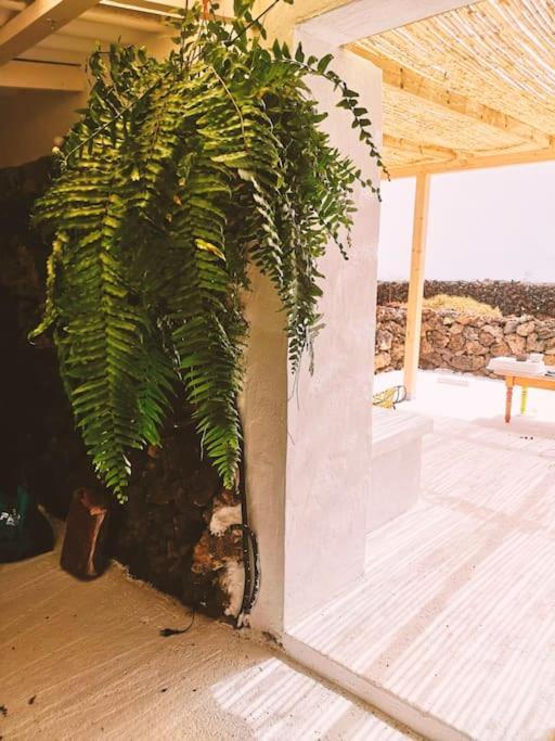 Estudio Con Bano Privado Orzola Exteriör bild